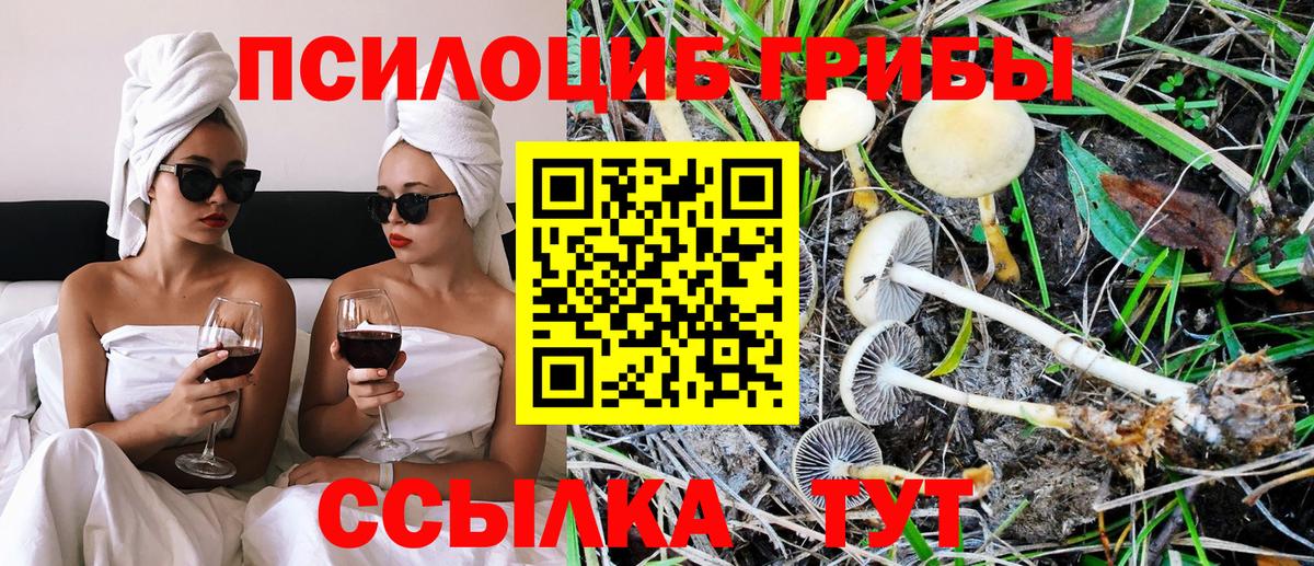 Галлюциногенные грибы мицелий Фурманов